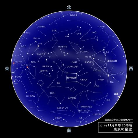 11月28日是什麼星座|11月28日是什么星座 11月28日生日是什么星座